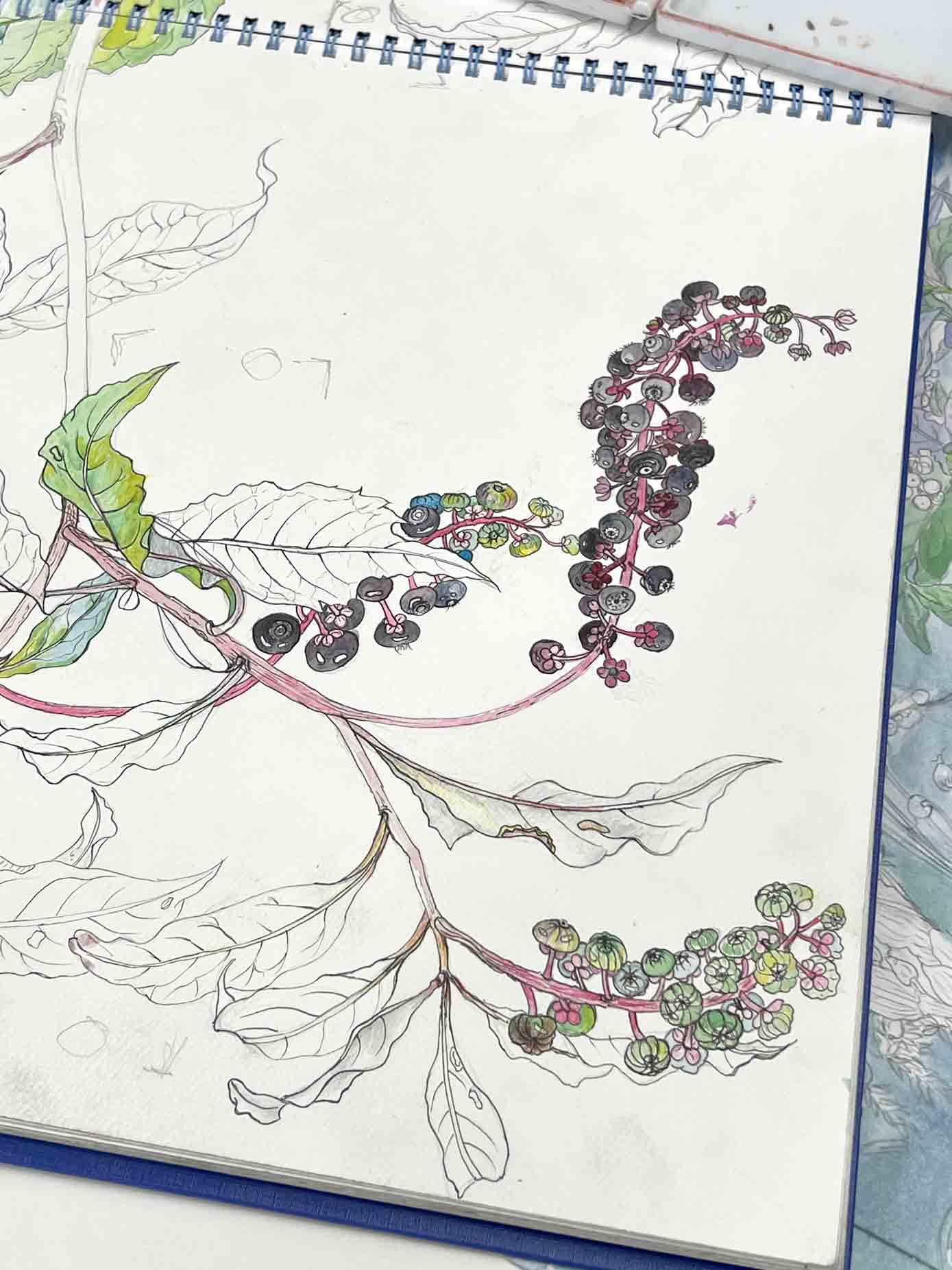 神辺絵画サークル-教室風景 その7