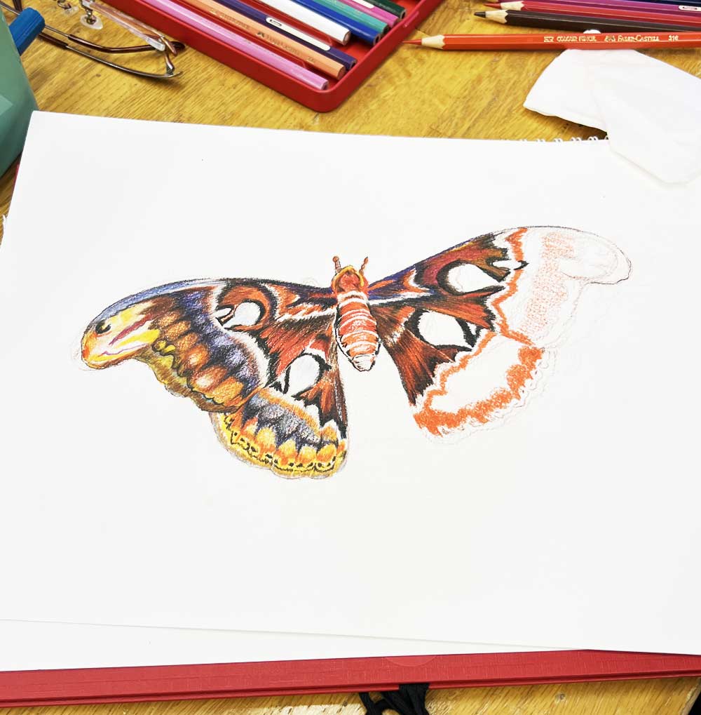 芳井絵画教室風景 その3