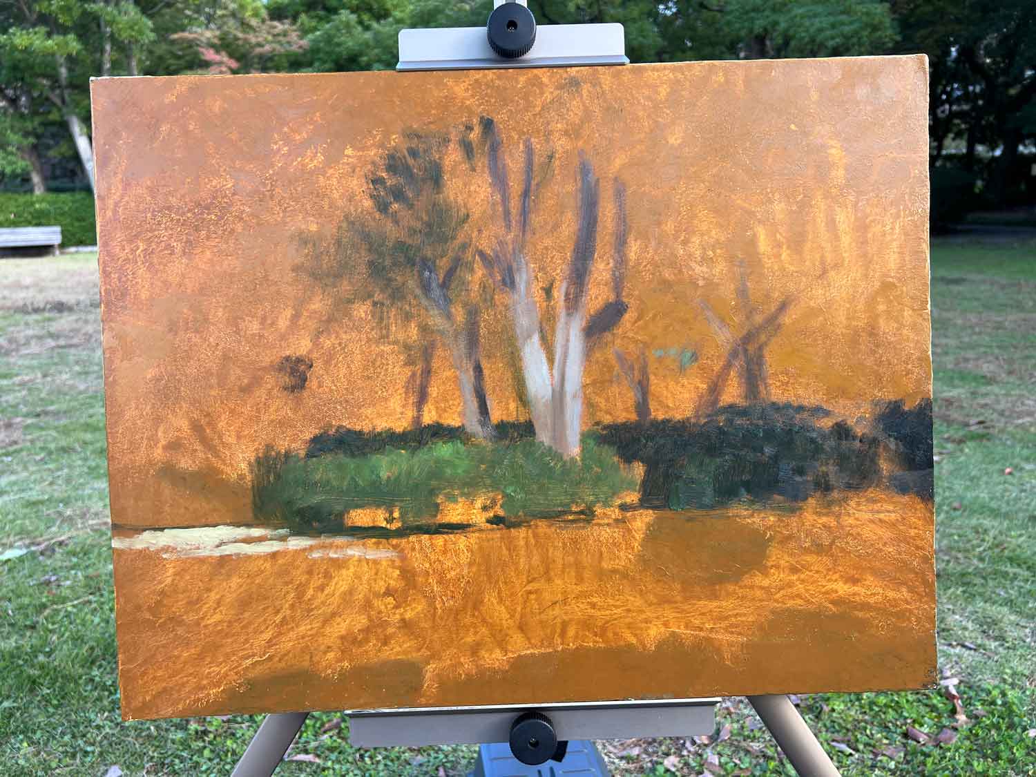 ふくやま美術館の野外スケッチの画像