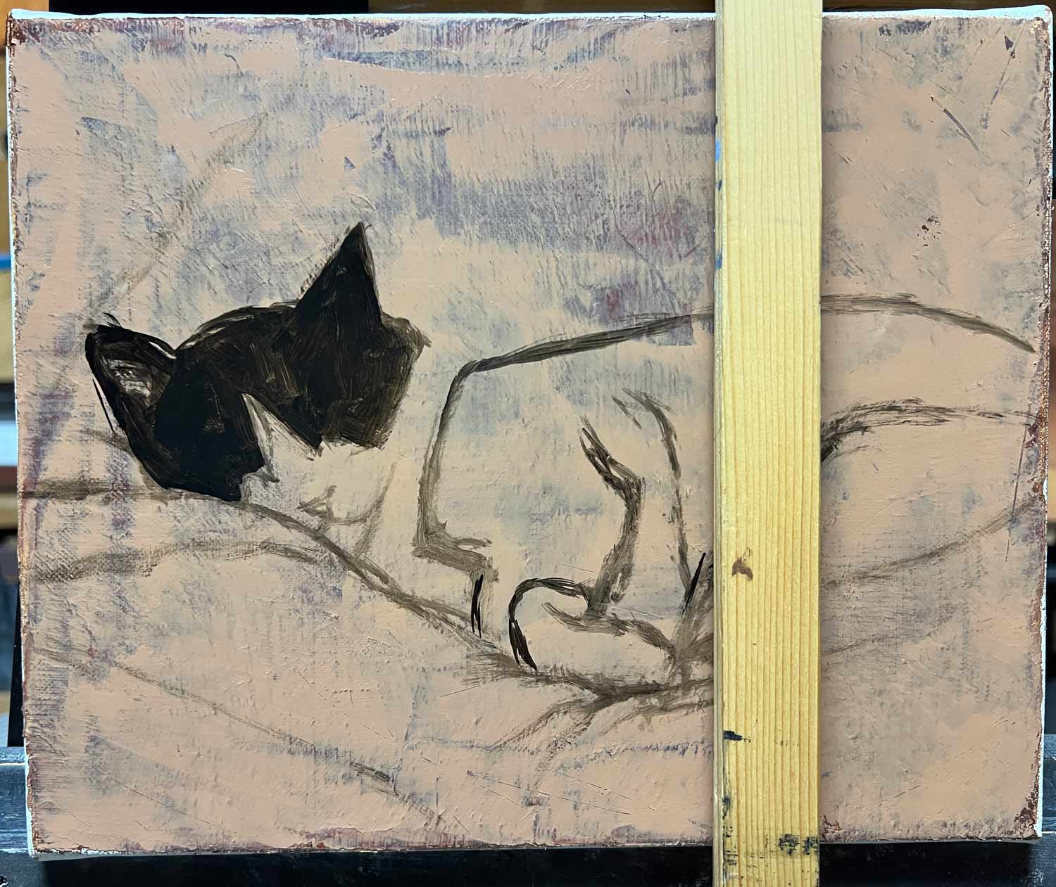 わっちゃんの画像