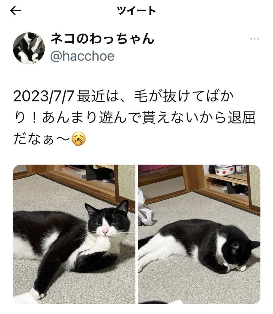 上西竜二のTwitter