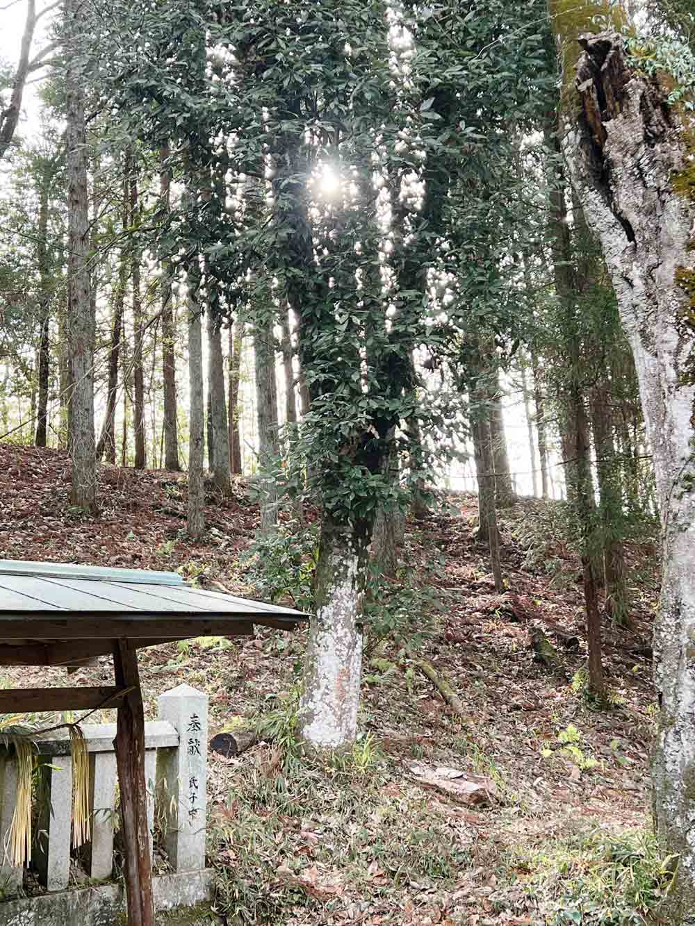 金切神社の風景